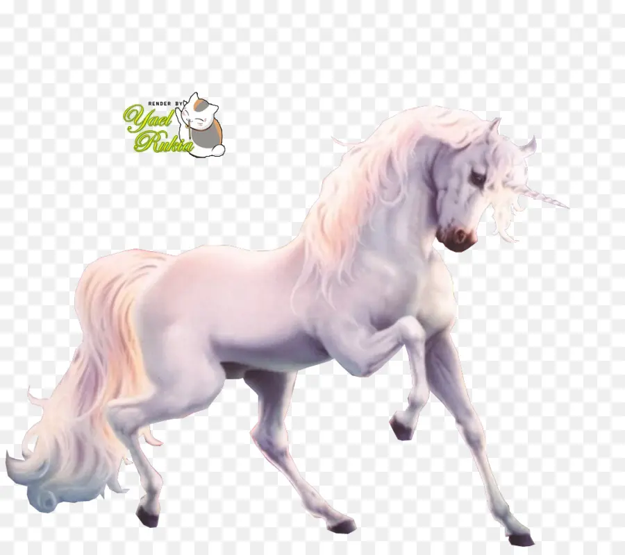 Licorne，Cheval PNG