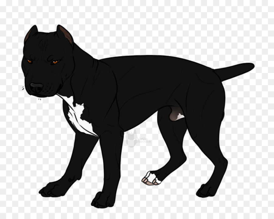 Chiot，Chien PNG