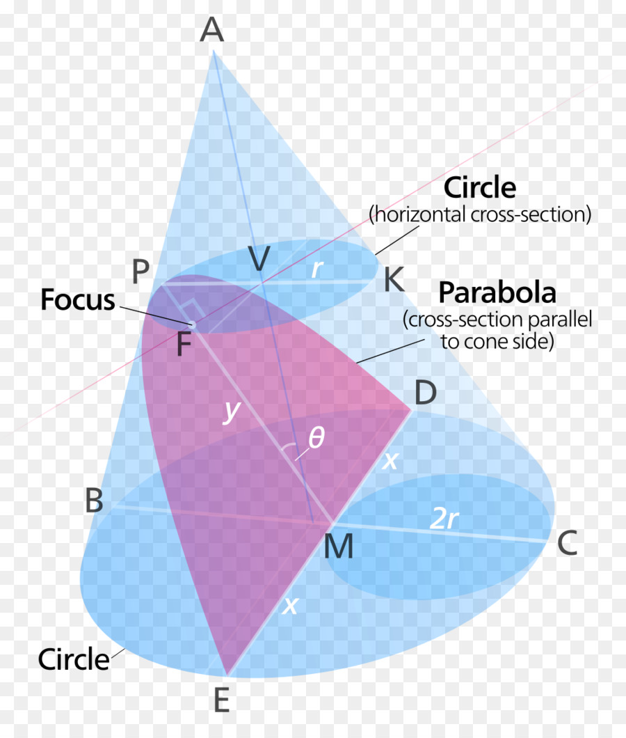 Parabole，Section Conique PNG