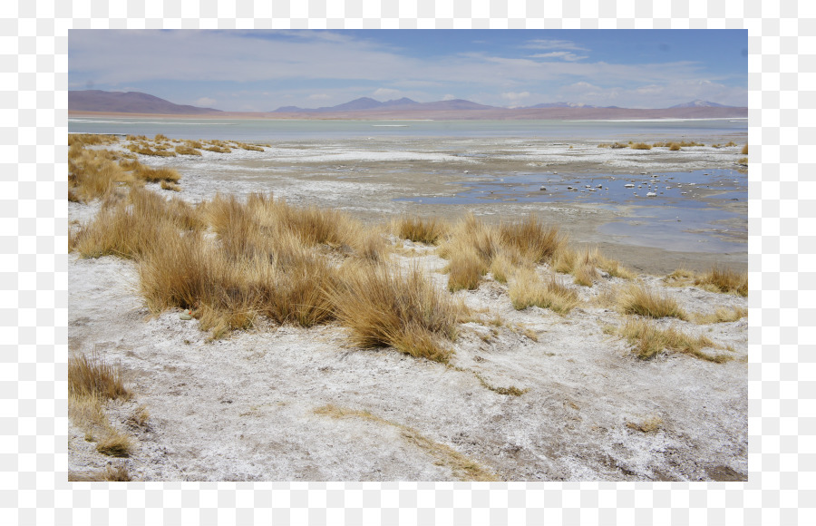 De La Toundra，La Steppe PNG