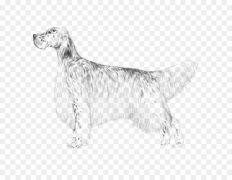 Chien，Animal De Compagnie PNG