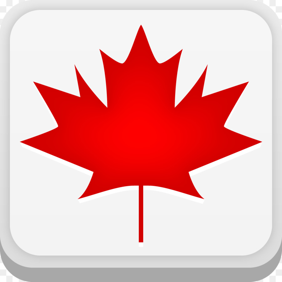 Canada，Drapeau Du Canada PNG