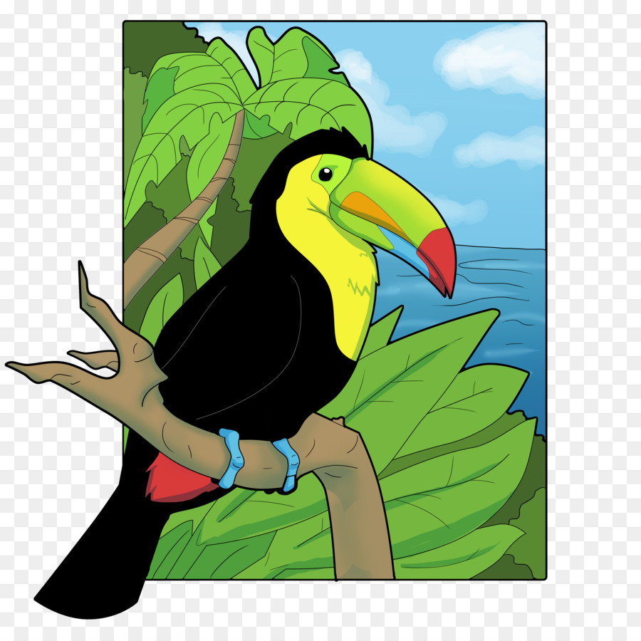 Bec，Keelbilled Toucan PNG