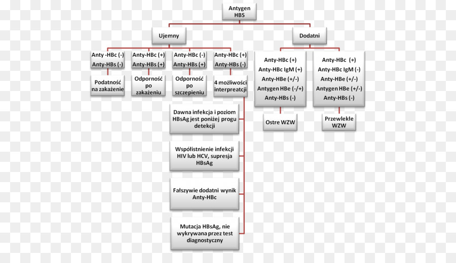 Virus De L Hépatite B，L Hépatite Virale PNG