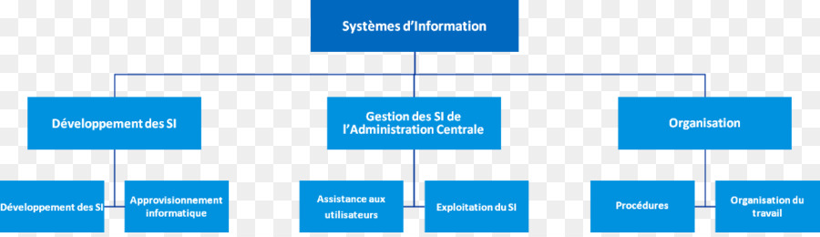 Organisation，Système D Information PNG