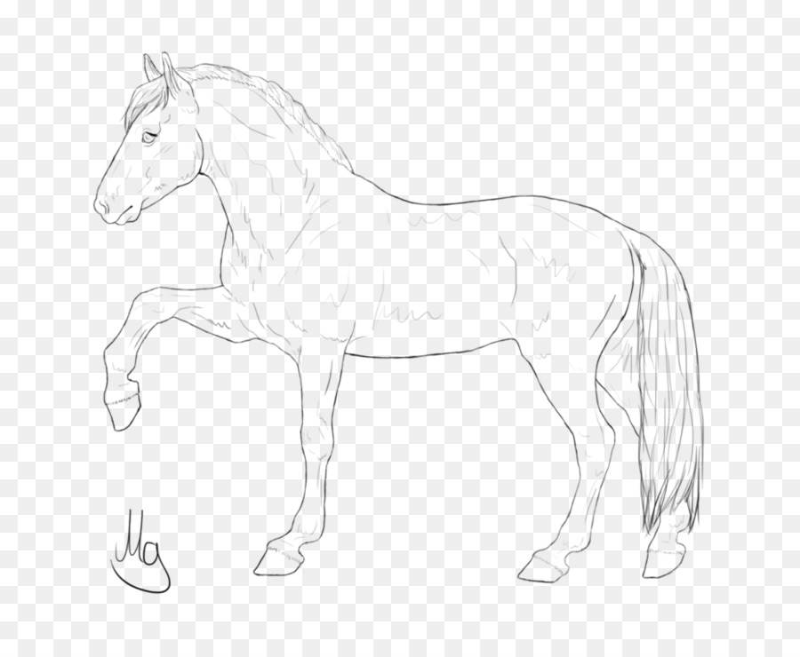 Cheval，Dessin Au Trait PNG