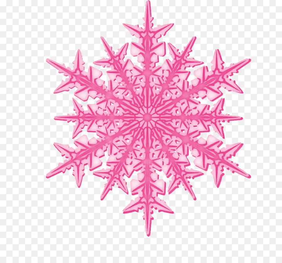 Flocon De Neige，Hiver PNG