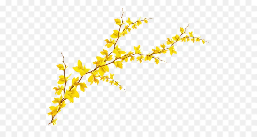 Fleurs Jaunes，Bifurquer PNG