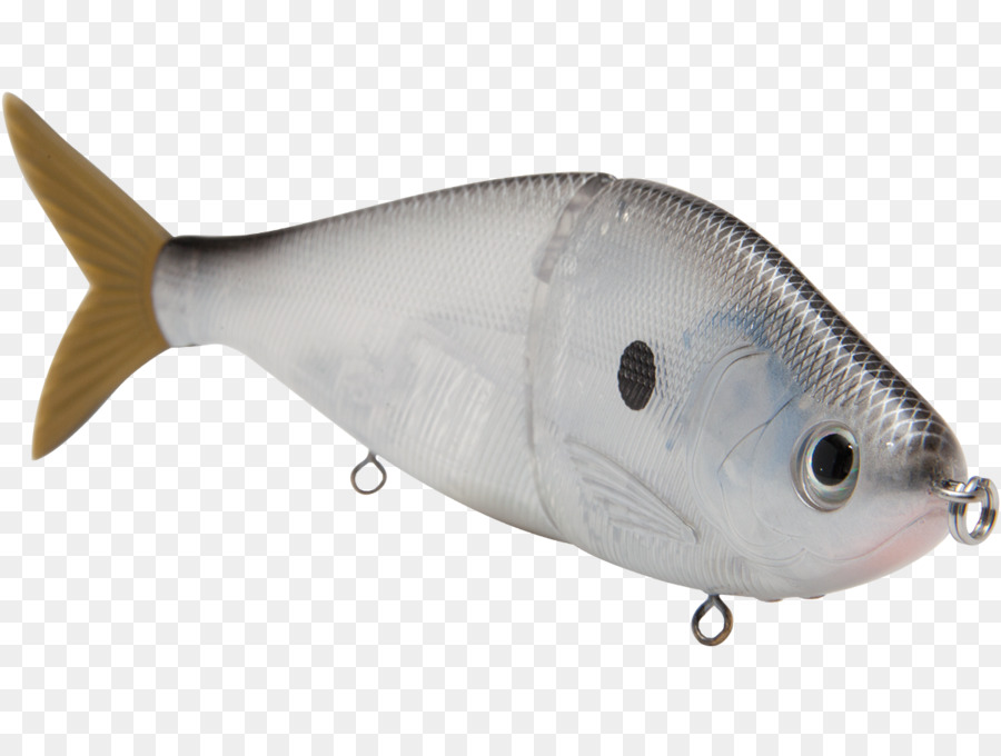 Poisson Coloré，Aquatique PNG