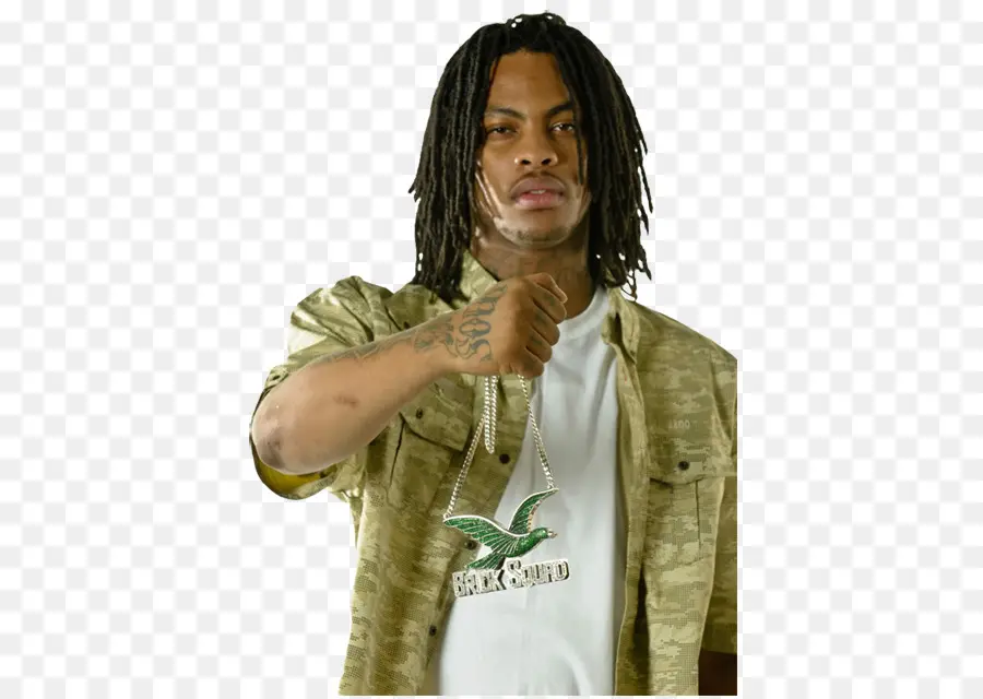 Homme Avec Des Dreadlocks，Dreadlocks PNG