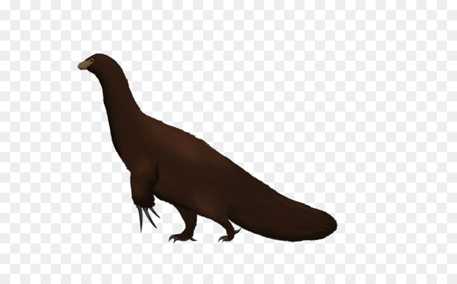 Le Bec，Animal PNG