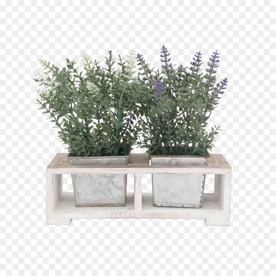 Plantes En Pot，Lavande PNG