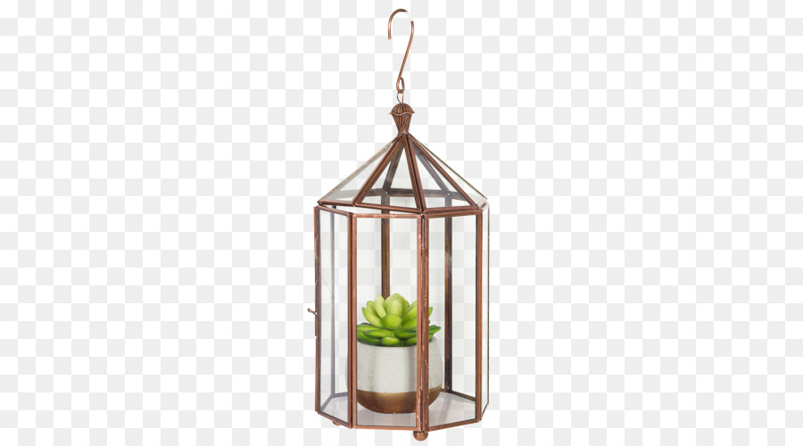 Terrarium，Usine PNG