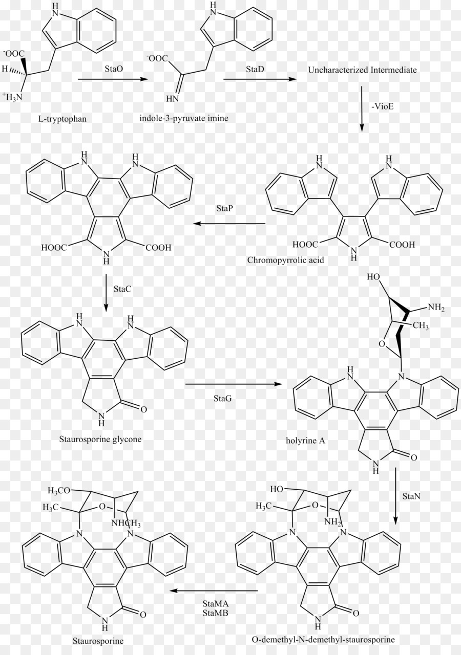 La Staurosporine，Midostaurine PNG