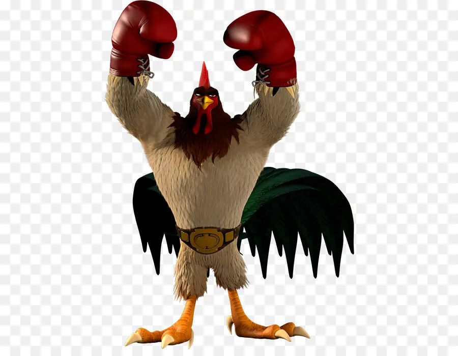 Coq De Boxe，Boxe PNG