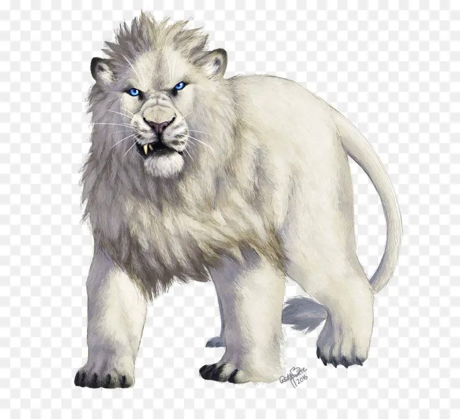 Lion Blanc，Féroce PNG