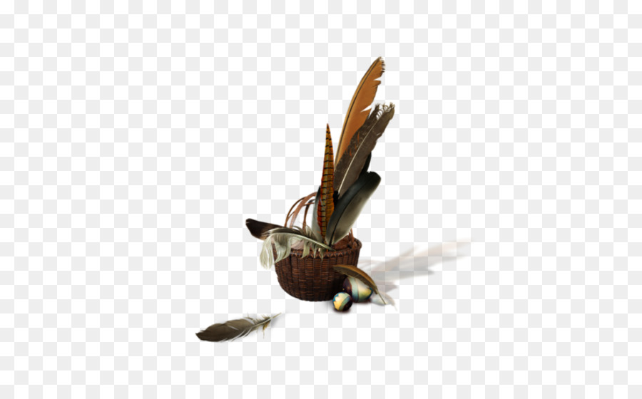 Insecte，Papillon PNG