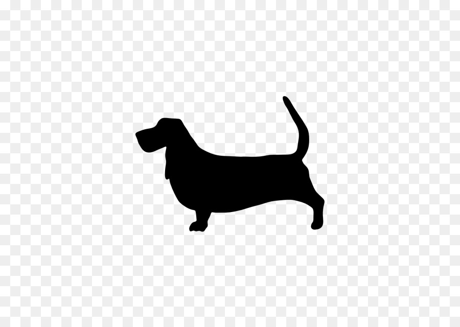 Chien，Animal De Compagnie PNG