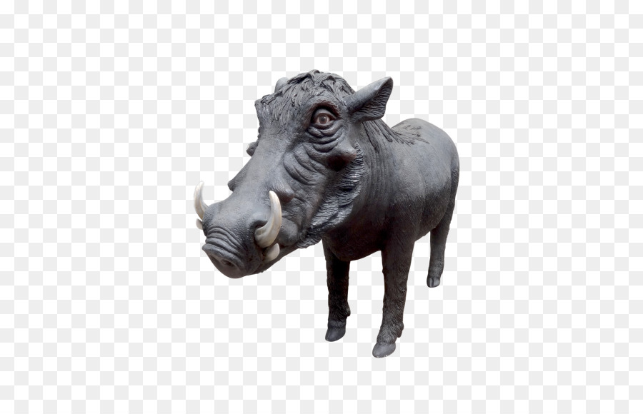 Tête De Rhinocéros，Faune PNG