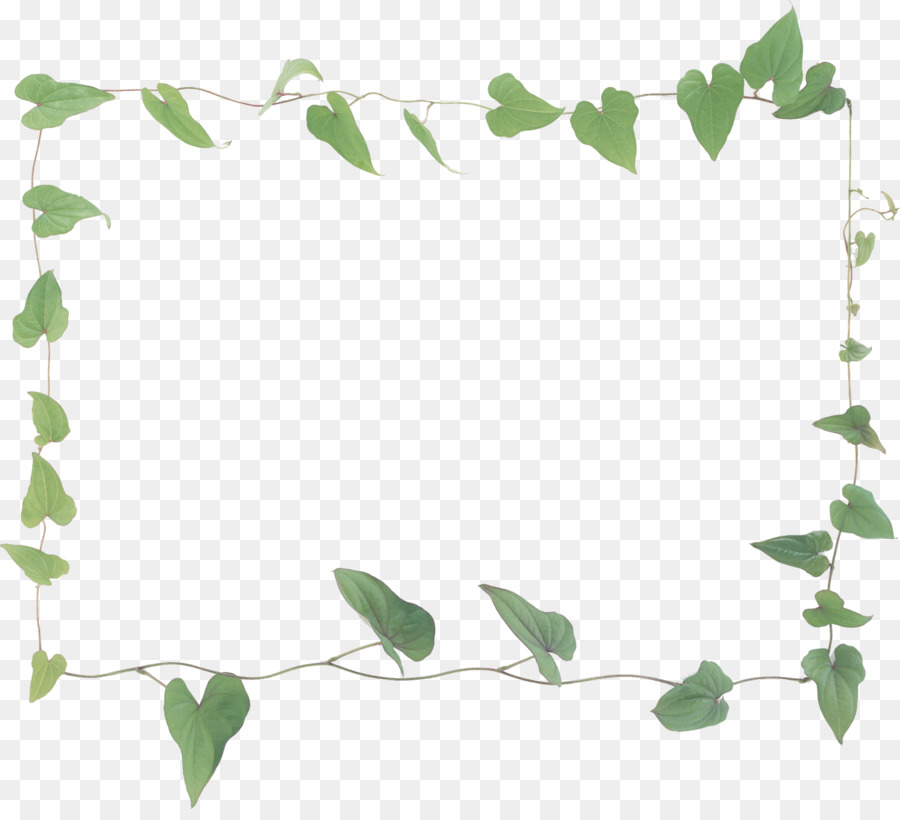 Cadre En Bois，Feuilles PNG