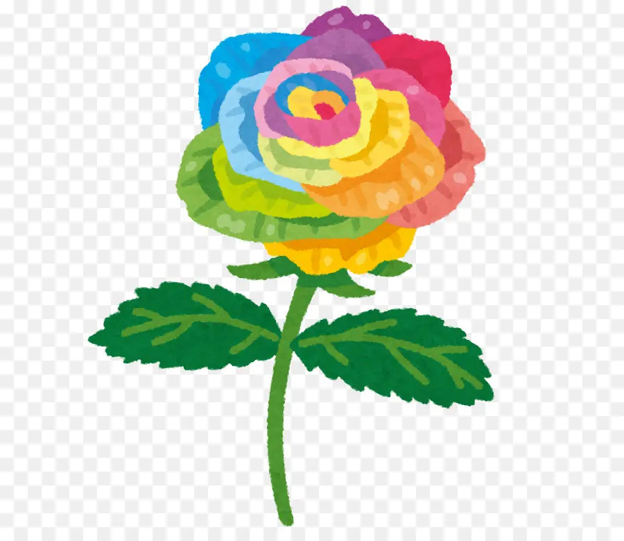 Rose Arc En Ciel，Coloré PNG