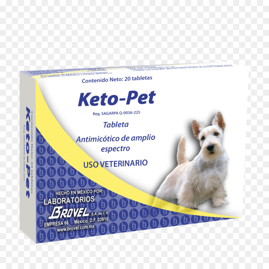 Keto Pet，Chien PNG