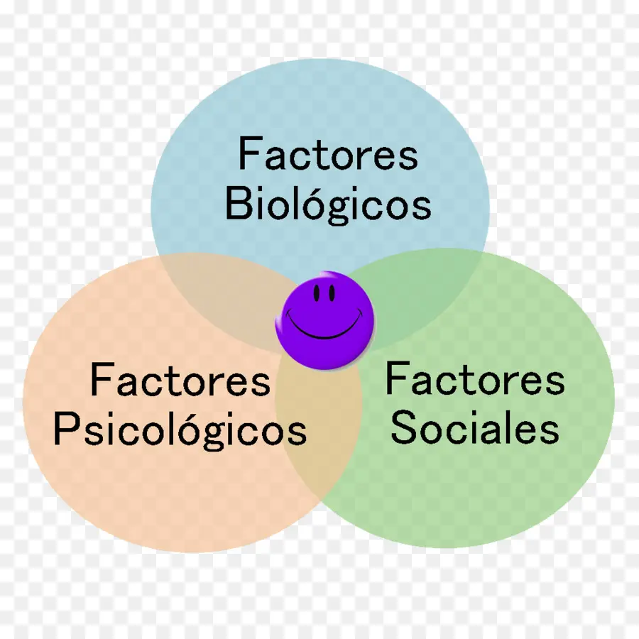 Diagramme De Venn Avec Facteurs，Facteurs PNG