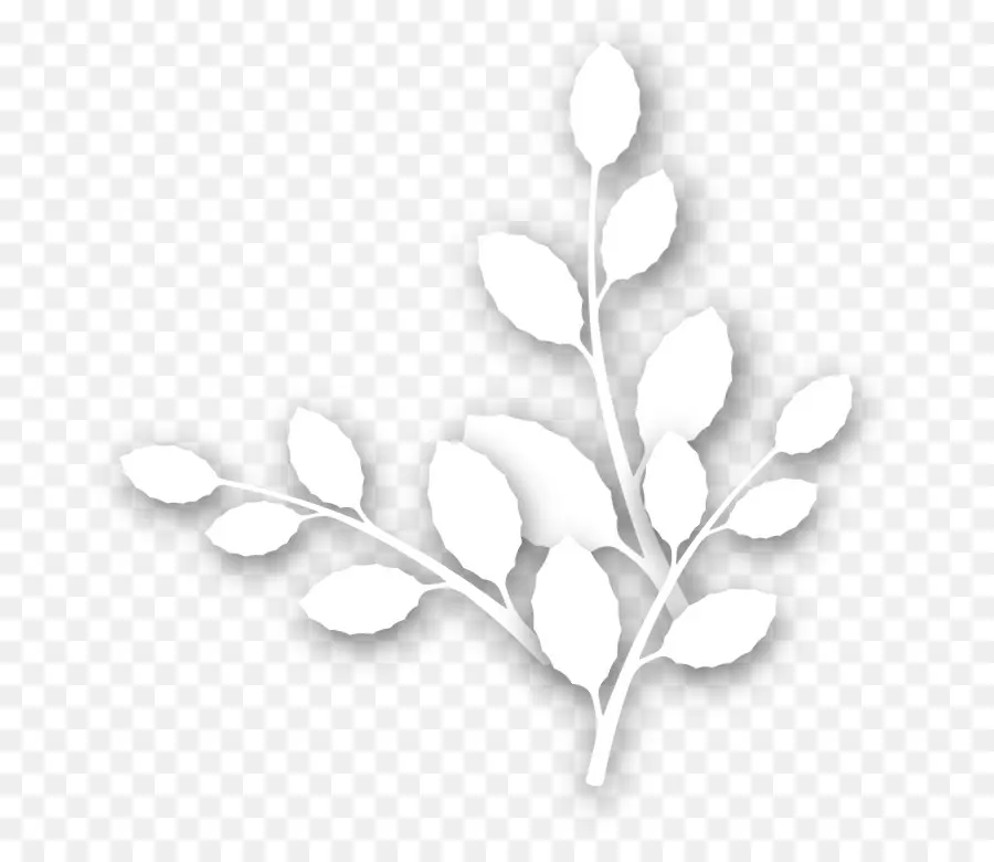 Feuilles Blanches，Bifurquer PNG