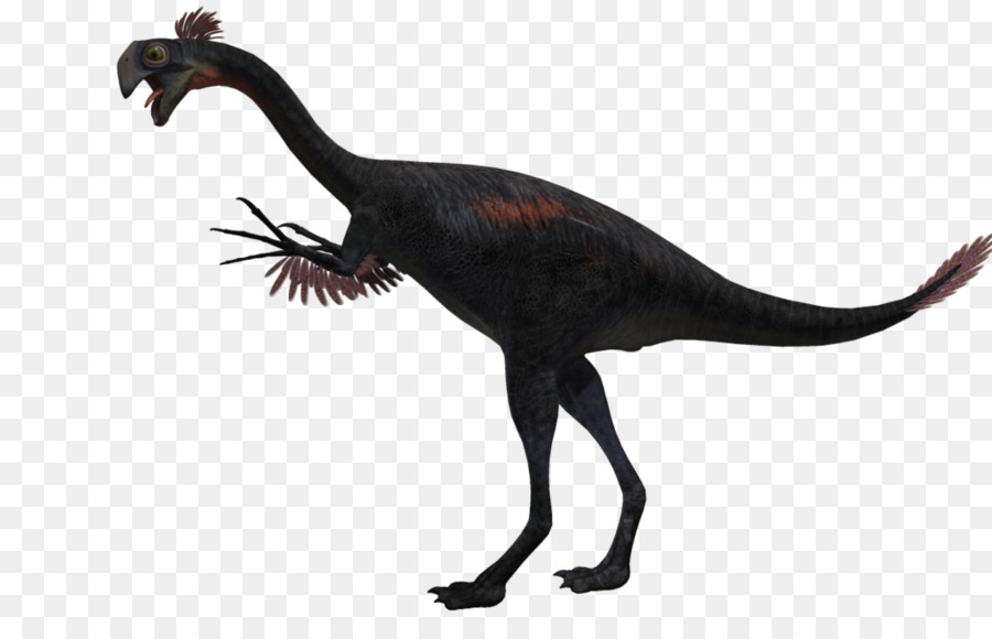 Gigantoraptor，Vélociraptor PNG