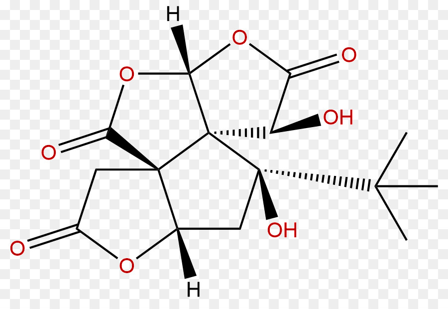 Triangle，Angle PNG