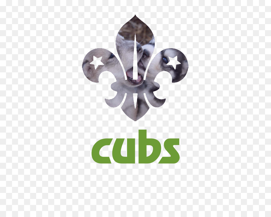 Cubs De Chicago，Louveteaux PNG