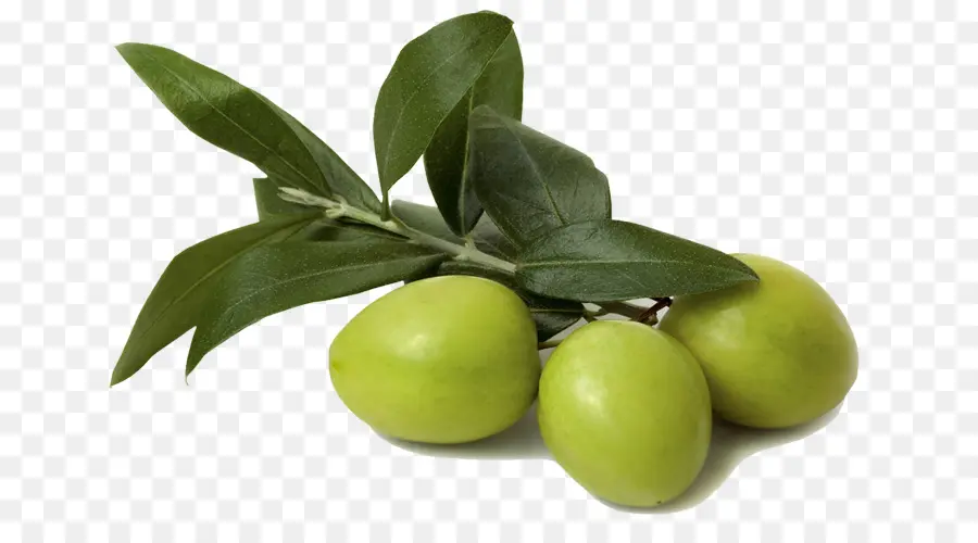 Olive，L Huile D Olive PNG