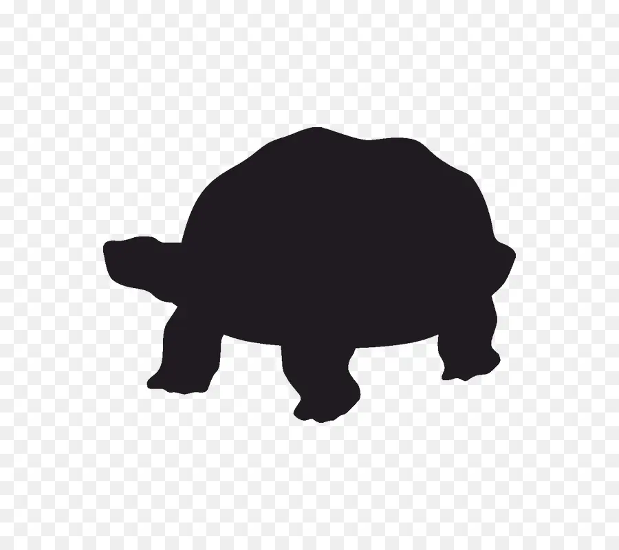 Tortue Silhouette，Reptile PNG