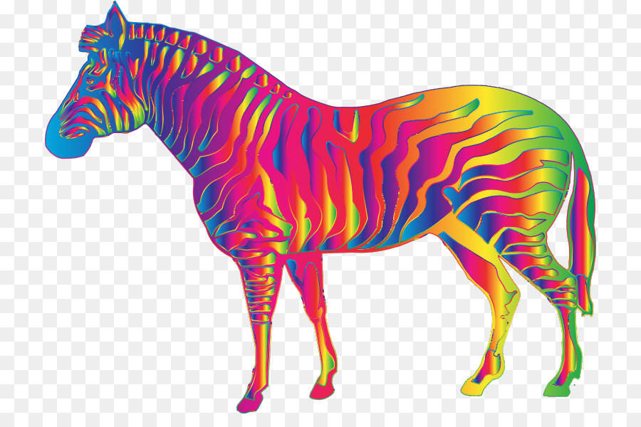 Cheval Coloré，Cheval PNG