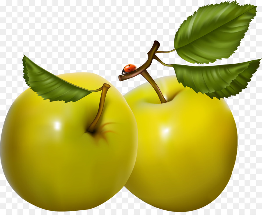 L Art，Fruits PNG