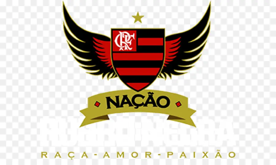 Clube De Regatas Do Flamengo，Fluminense Fc PNG