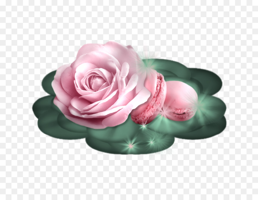 Les Roses De Jardin，Fleur PNG