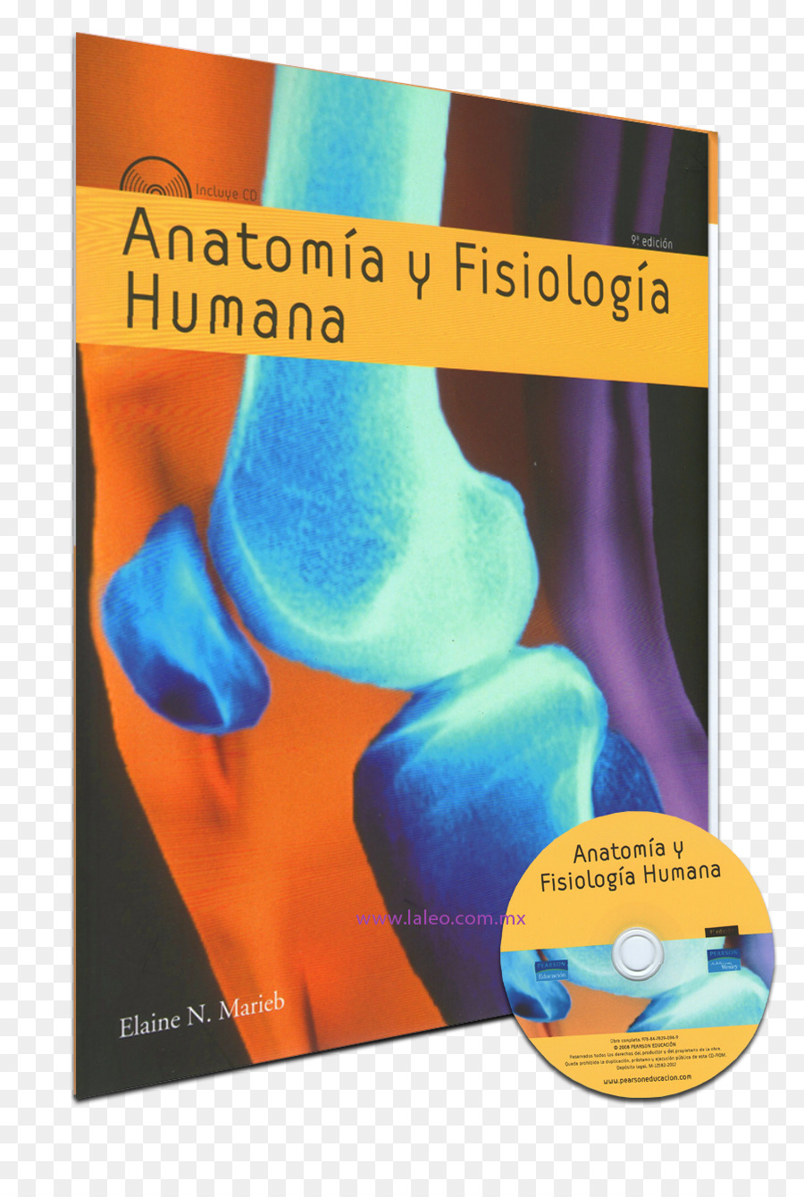 Livre D'anatomie Et De Physiologie，Corps Humain PNG