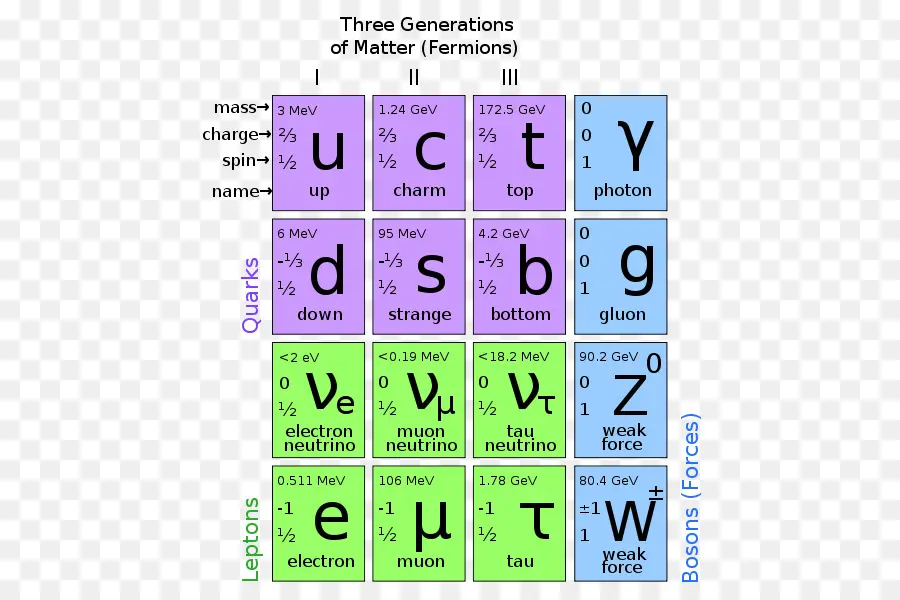 La Physique Des Particules，Modèle Standard PNG