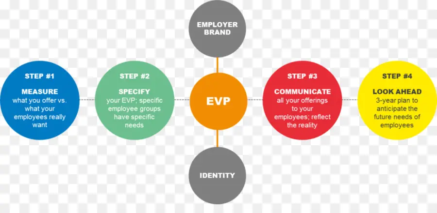 Diagramme Du Vice Président Exécutif，Employeur PNG