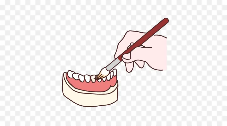 Dent，Technicien Dentaire PNG