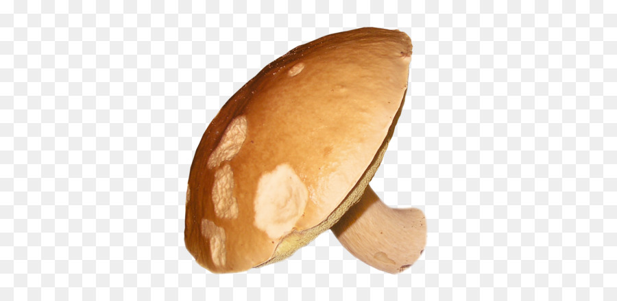 Pain，Champignons PNG