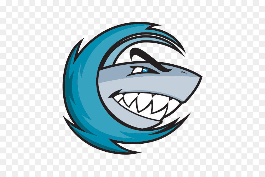 Logo De Requin，Requin PNG