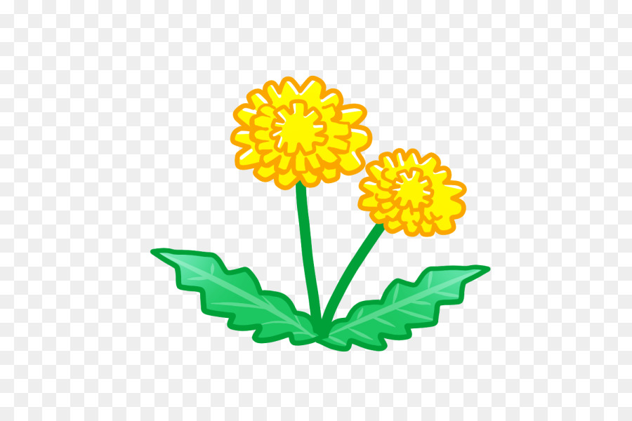 Fleurs De Pissenlit，Fleur PNG