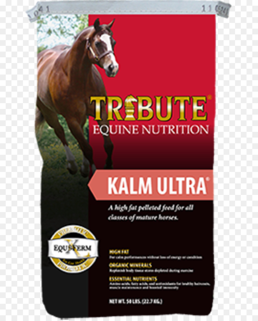 Cheval，La Nutrition équine PNG