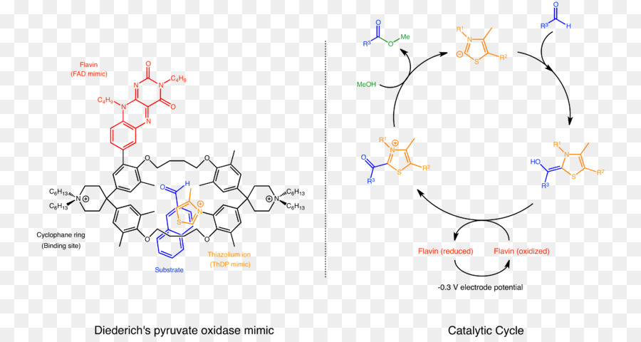 La Catalyse Supramoléculaire，La Chimie Supramoléculaire PNG