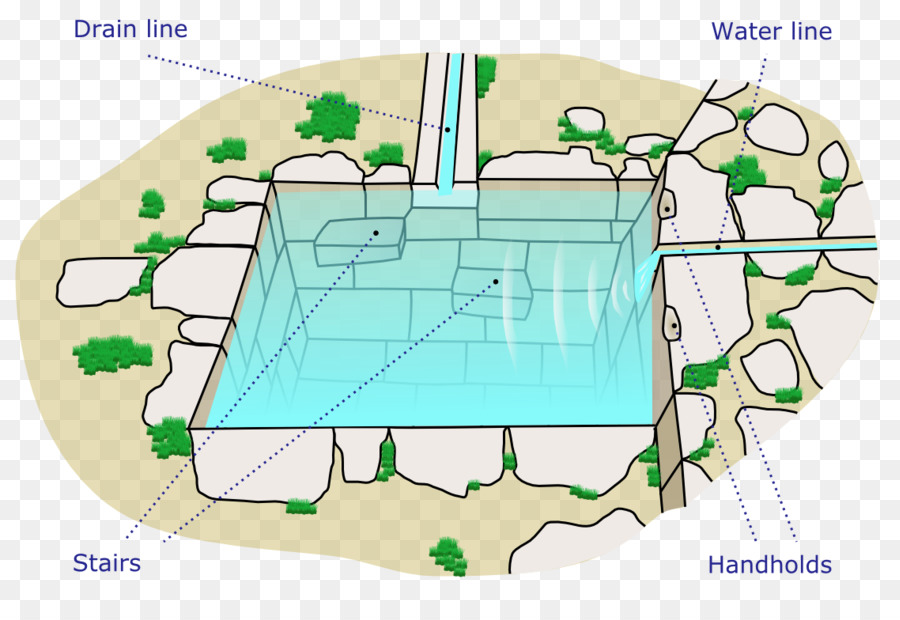 Piscine，Eau PNG