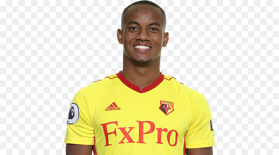 Autre Gris，Watford Fc PNG