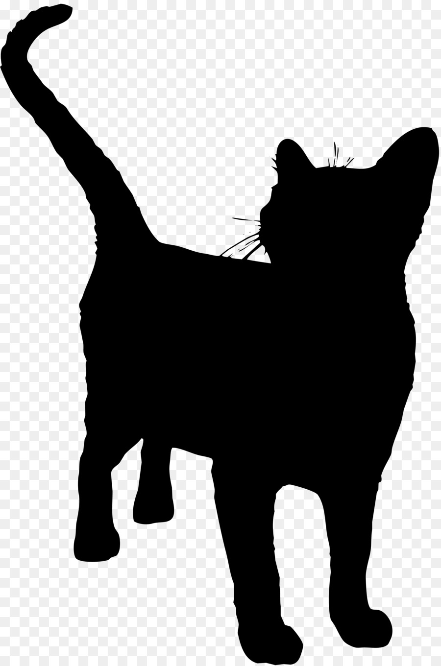 Silhouette De Chat，Animal De Compagnie PNG