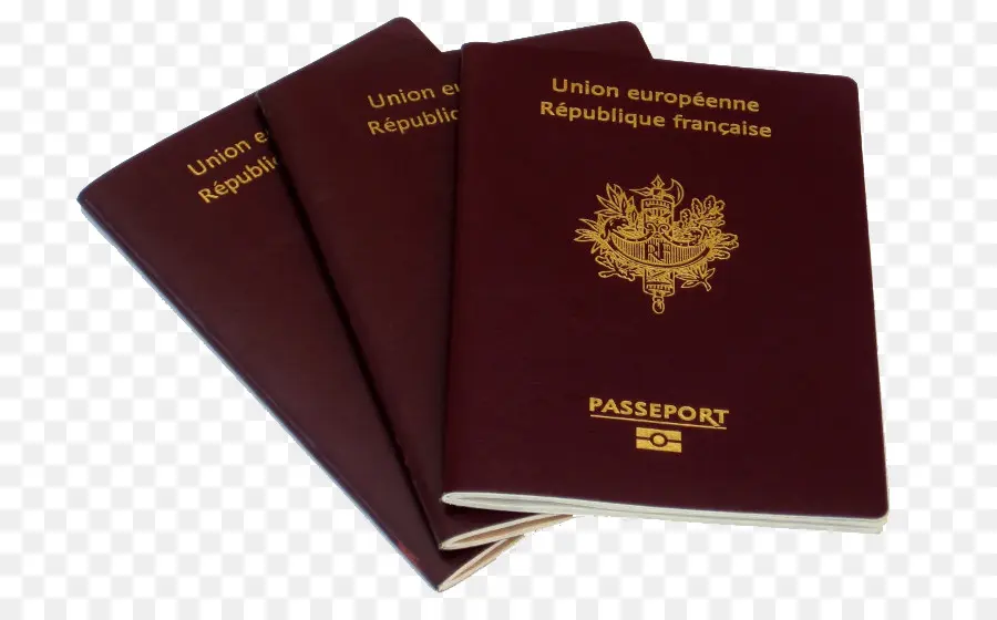 Passeports Français，Voyage PNG